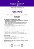 Tööpakkumine - perenaine sisehaiguste osakonda