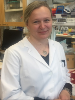 Dr. Ines Vaide alustab sel kuul hematoloogia vastuvõtte Kuressaare Haiglas